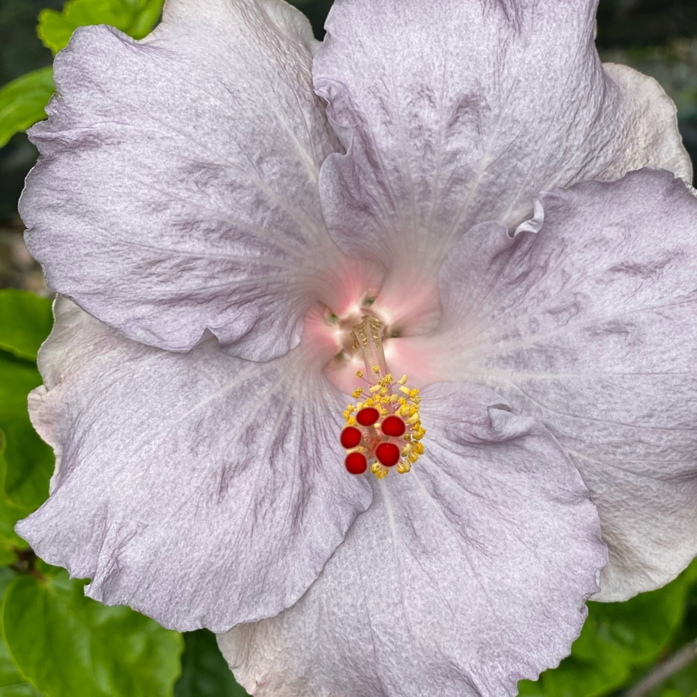 Meet your Posher, Yummy